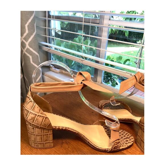 Alexandre Birman Clarita Beige Nude Croc Block Heel Sandal Ankle Wrap 40.5  9.5 - Picture 5 of 9